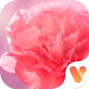 Cozy Carnation for Mom Free Emoji Theme APK