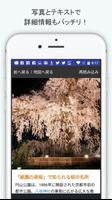 京都観光地図 - 現在地周辺の観光スポットやグルメを検索 capture d'écran 1