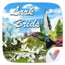 Lark Birds Parallax V Launcher Theme APK