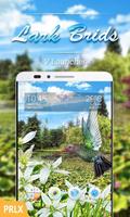 Lark Birds Parallax V Launcher Theme bài đăng