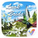Lark Birds 3D V Launcher Theme APK