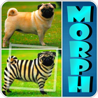 آیکون‌ Animal Morphing: Zebra Hybrid