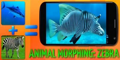 Morph animaux: Zebra Hybrid capture d'écran 1
