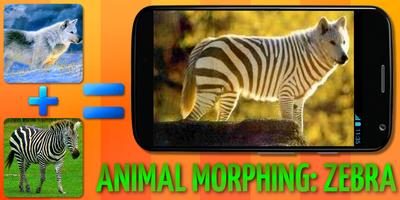 Morph hewan: Zebra Hybrid screenshot 2