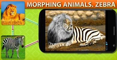 Morphing Animal Zebra اسکرین شاٹ 1