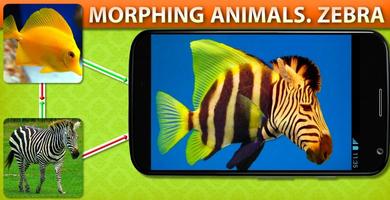 برنامه‌نما Morphing Animal Zebra عکس از صفحه