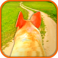 Pigs 3D Simulator