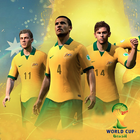 Brazil World Cup Soccer icône