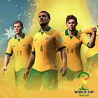 Brazil World Cup Soccer أيقونة