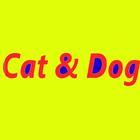 Cat & Dog ícone