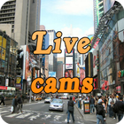 Live Cams أيقونة