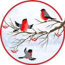 Winter Bullfinch HD LWP APK