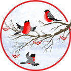 آیکون‌ Winter Bullfinch HD LWP