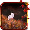 Wolf Autumn live wallpaper