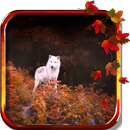 Wolf Autumn live wallpaper APK