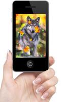 Wolf Autumn live wallpaper syot layar 1