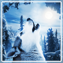 Wolf Husky Winter LWP APK