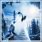 Wolf Husky Winter LWP आइकन
