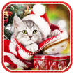 Christmas Cat live wallpaper