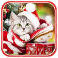 Christmas Cat live wallpaper