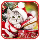 Christmas Cat live wallpaper アイコン