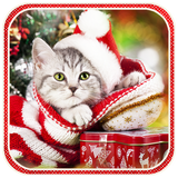 Christmas Cat live wallpaper icon