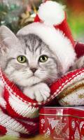 برنامه‌نما Christmas Cat live wallpaper عکس از صفحه