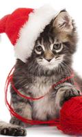 Christmas Cat live wallpaper screenshot 2