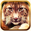 Lynx live wallpaper