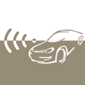 CarCam WiFi