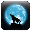 ”Moon&Wolf live wallpaper