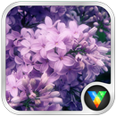 Inflorescence Live Wallpaper APK