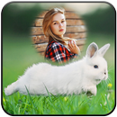 Rabbit Photo Frames APK