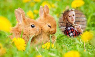 Rabbit Photo Frames 海报