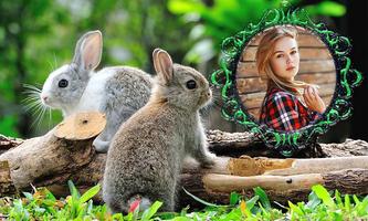 Rabbit Photo Frames 截图 3