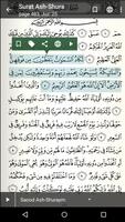 Al Quran For Android Pro imagem de tela 2