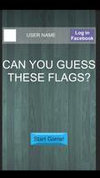 Can you guess these flags? Affiche