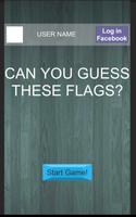 Can you guess these flags? syot layar 2