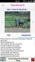 Tieng Anh Lop 10 اسکرین شاٹ 1