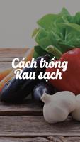 Trồng rau sạch poster