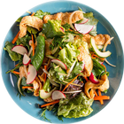 Salad ( Công thức trộn rau củ ) icon