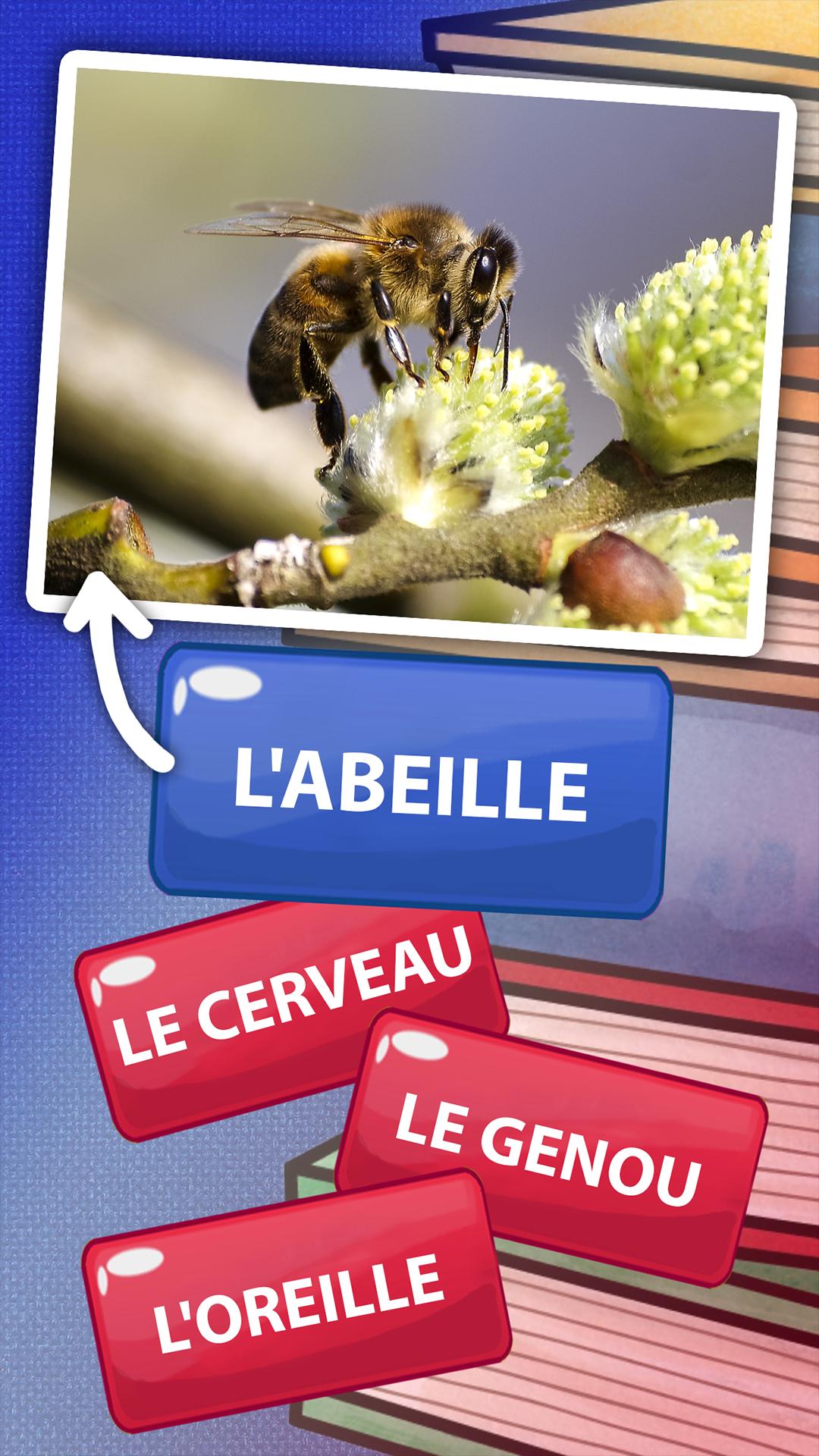 Android 用の フランス語の単語 言葉遊び Apk をダウンロード