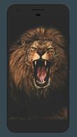 Lion Wallpaper পোস্টার