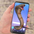 Cobra Snake on Screen 3D APK