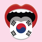 Korean Voice Translator icône