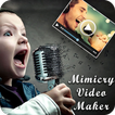 Video Mimicry Maker