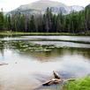 Colorado Life APK