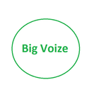 Big Voize (KSA) icône