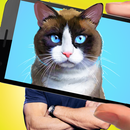 Cat Head Photo Editor - Make total cat face APK