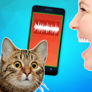 Katze-Übersetzer - Mensch-Katze Wörterbuch APK